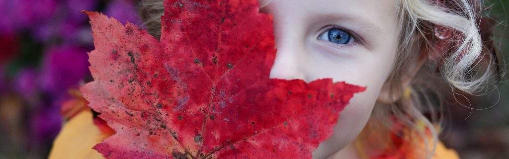 Photo by Gabby Orcutt on Unsplash